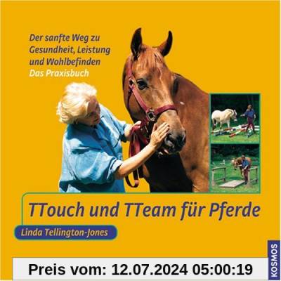 TTouch und TTeam für Pferde: Der sanfte Weg zu Gesundheit, Leistung und Wohlbefinden: Das Praxisbuch.Der sanfte Weg zu Gesundheit, Leistung und Wohlbefinden